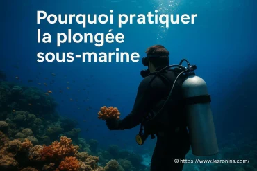 Pourquoi pratiquer la plongée sous-marine est-elle bénéfique ?