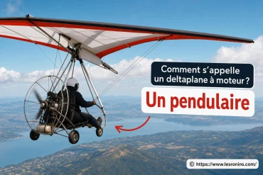 Comment s'appelle un deltaplane à moteur ?