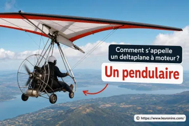 Comment s'appelle un deltaplane à moteur ?