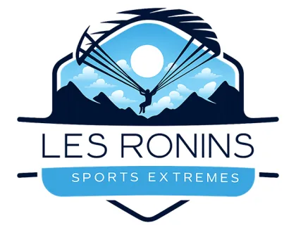 Logo de Les Ronins